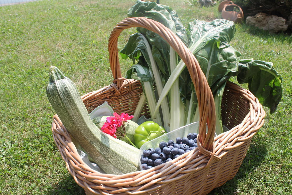 Agriturismo L'Ciabot Paesana Kültér fotó